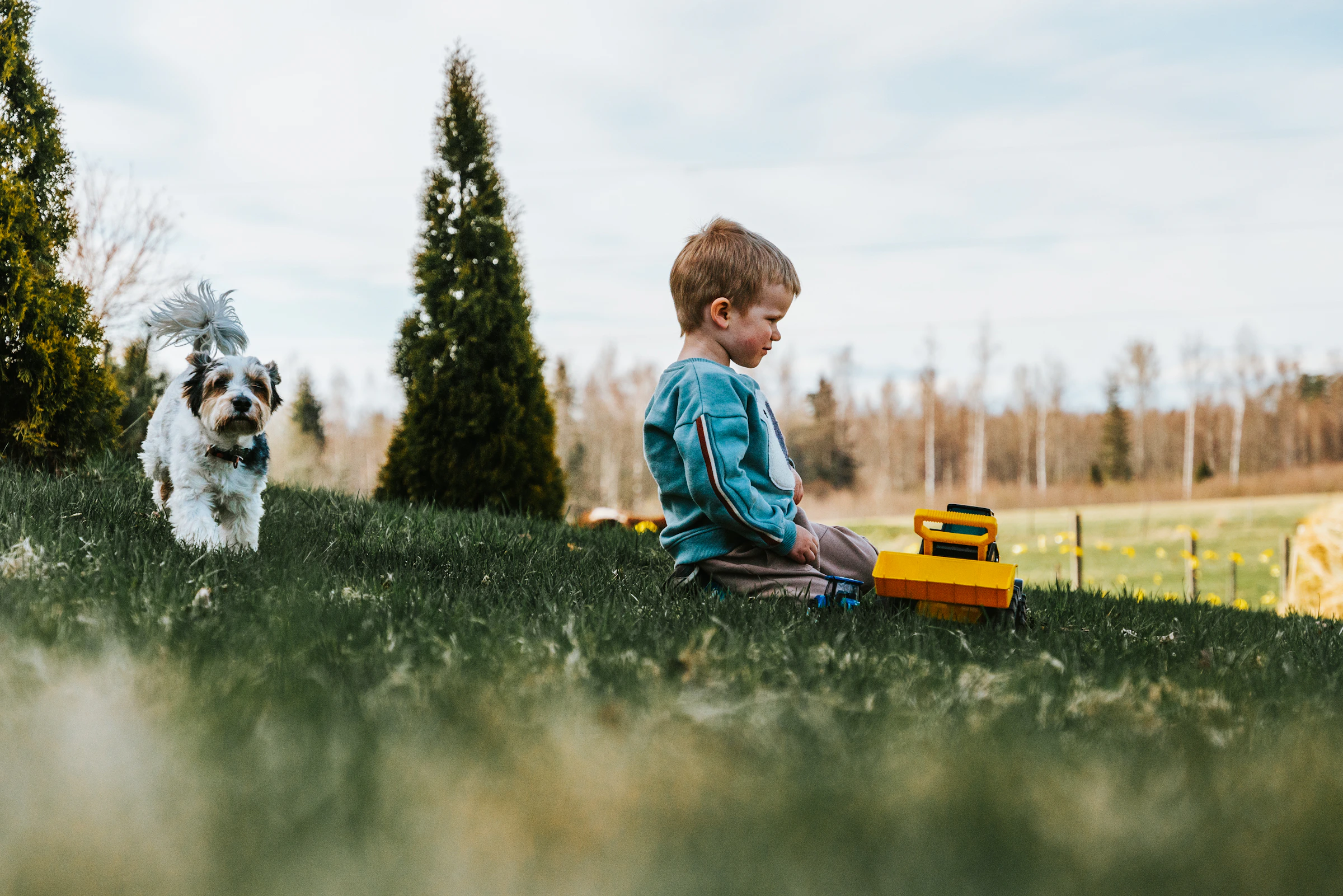 Oskar Kadaksoo_1755072378565_unsplash_id_u6oUJALetzA.webp